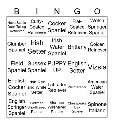 SPORTING GROUP Bingo Card