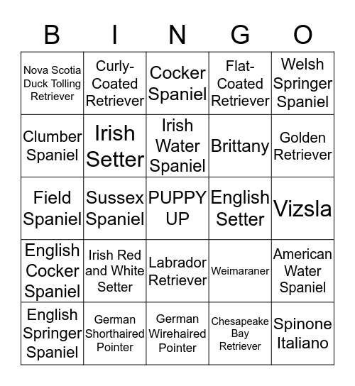 SPORTING GROUP Bingo Card