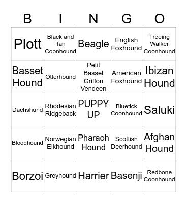 HOUND GROUP Bingo Card