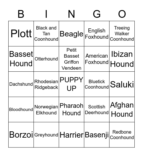 HOUND GROUP Bingo Card