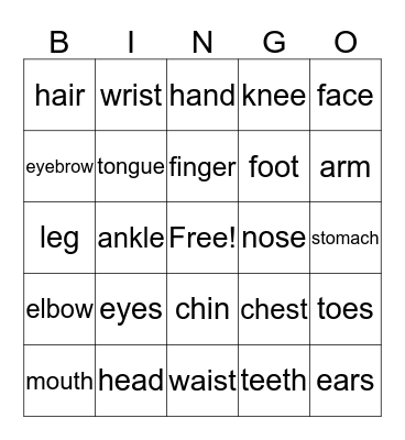 Body Parts Bingo Card