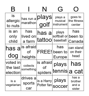 Icebreaker Bingo Card