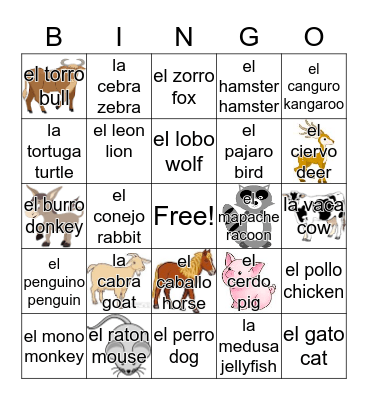 Colmbia Espanol Bingo Card