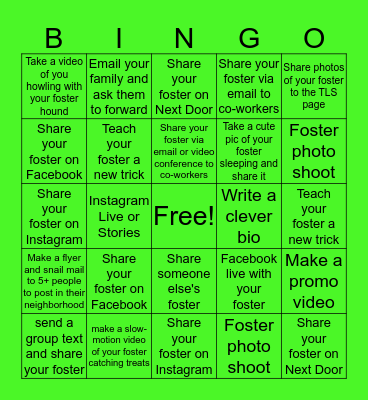 Find Your Foster Pet A New Home Bingo Card