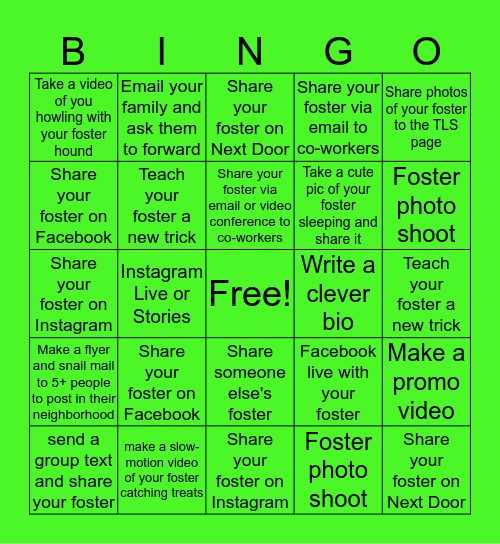 Find Your Foster Pet A New Home Bingo Card