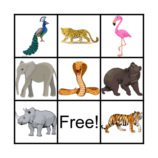 SAFARI Bingo Card