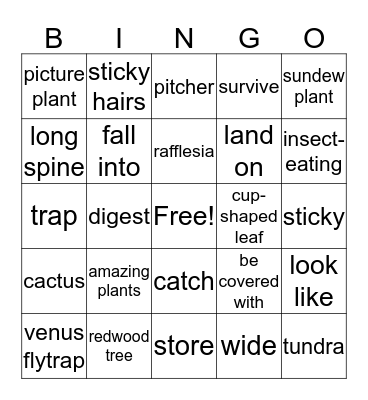 Reading Key-2-unit 6-請寫出每個單字的詞及中文意思 Bingo Card