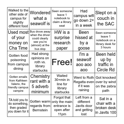Stony Brook Bingo Card