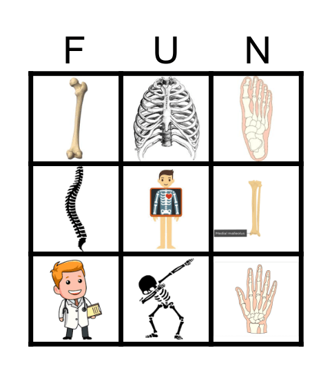 Osteology Bingo Card