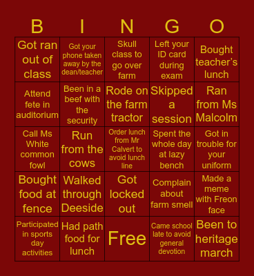 Dinthill Technical HS Bingo Card