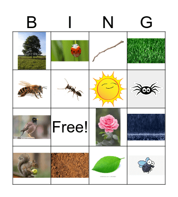 Nature hunt Bingo Card