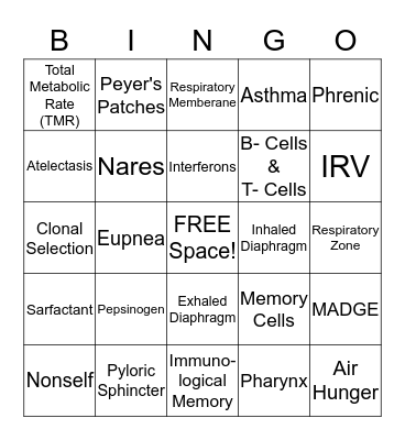 A & P 2  Bingo Card