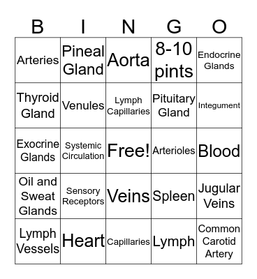 Circulatory System Bingo Card