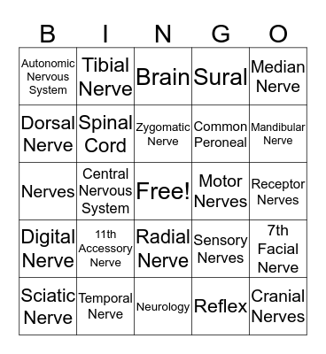 Nervous System Bingo Card