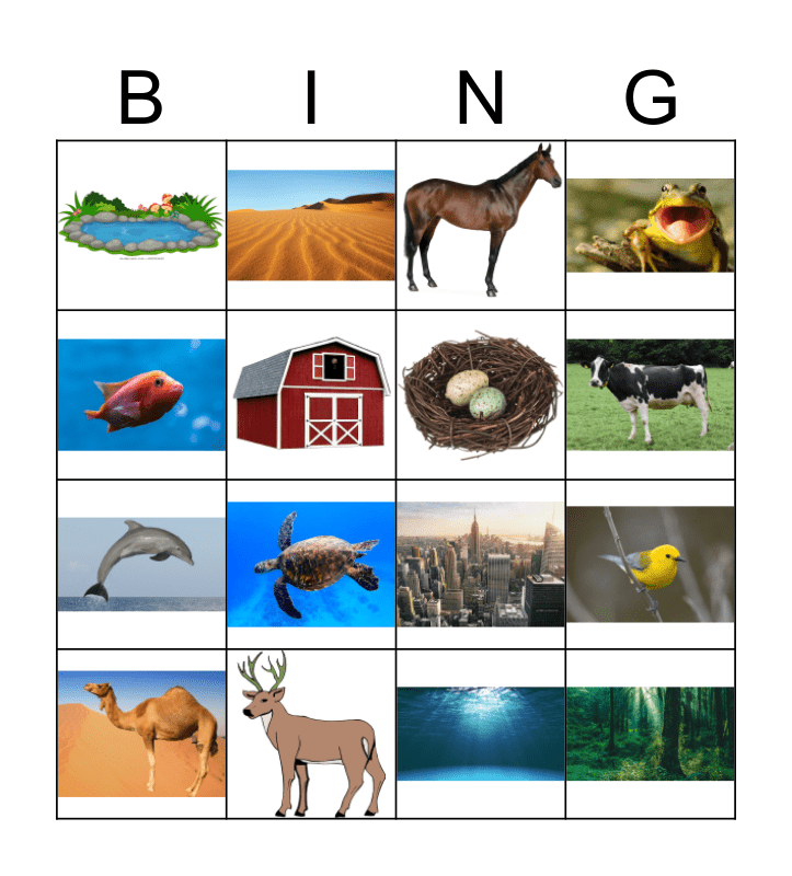 Habitats Bingo Card