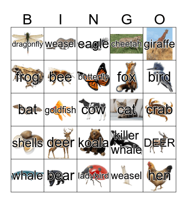 Animals Bingo Card