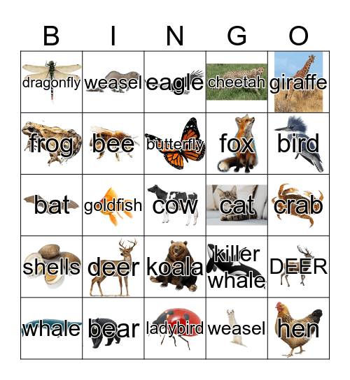 Animals Bingo Card