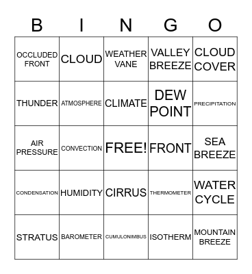 SCIENCE WORDS Bingo Card