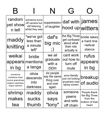 zoom call Bingo Card