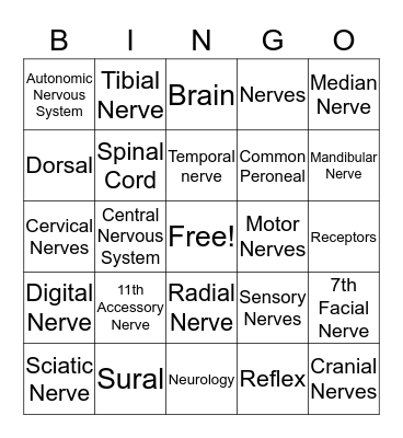 Nervous System Bingo Card