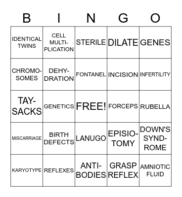 THE DEVELOPING CHILD Bingo Card
