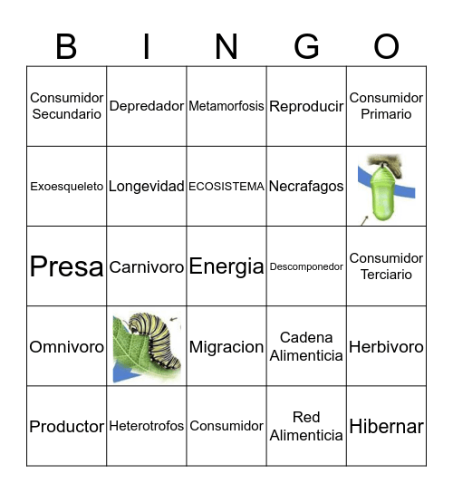 BINGO SEMANA 11 Bingo Card