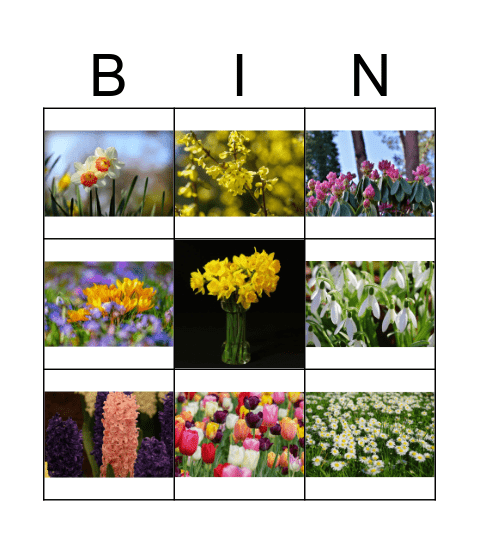 Paszek - wiosenne kwiaty Bingo Card
