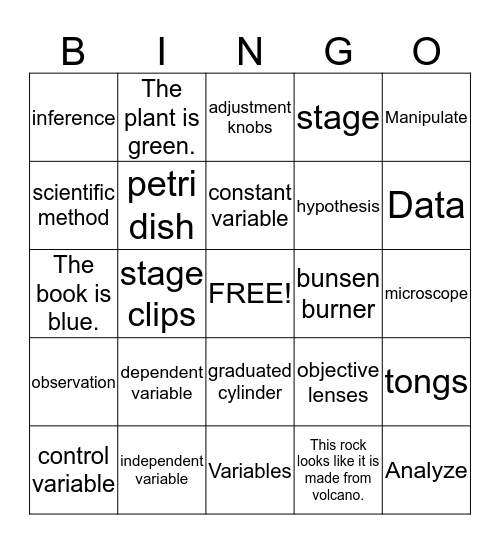 Scientific Method  Bingo Card