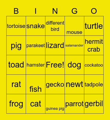 Your House Pets (any time) Bingo Card