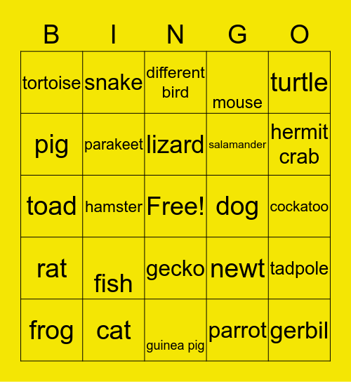 Your House Pets (any time) Bingo Card