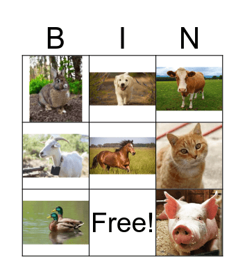 Animals Bingo Card