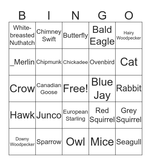 Spot a Creature in our Neighbourhood Bingo Card