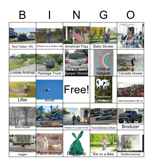 Idaho Quarantine Bingo Card