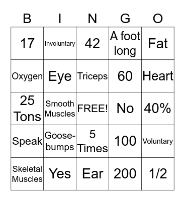 Muscular System Bingo Card