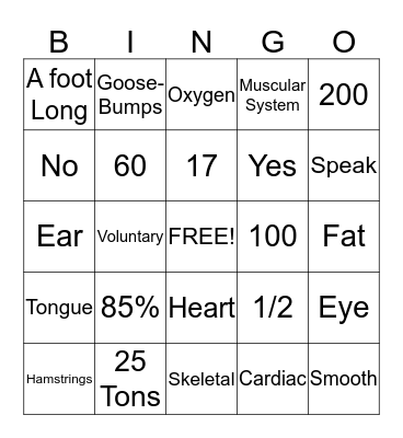 Muscular System Bingo Card
