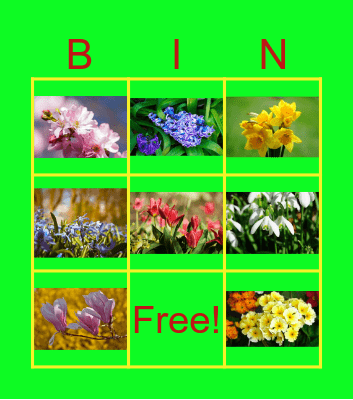 WIOSENNE KWIATY Bingo Card