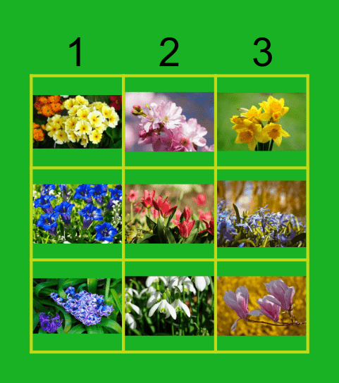 WIOSENNE KWIATY Bingo Card