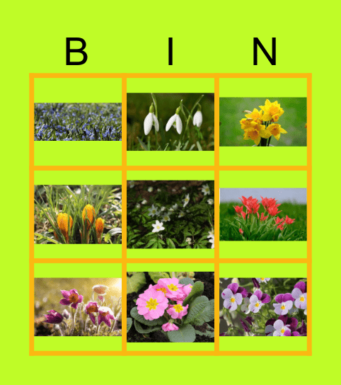 Wiosenne kwiaty 2 Bingo Card
