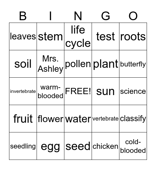 Chapter 1 Science  Bingo Card