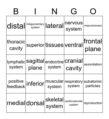 Chapter 1 Bingo Card