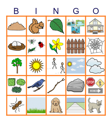 Spring Outdoor BINGO! Bingo Card