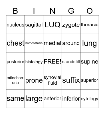 Body as a Whole Bingo Card