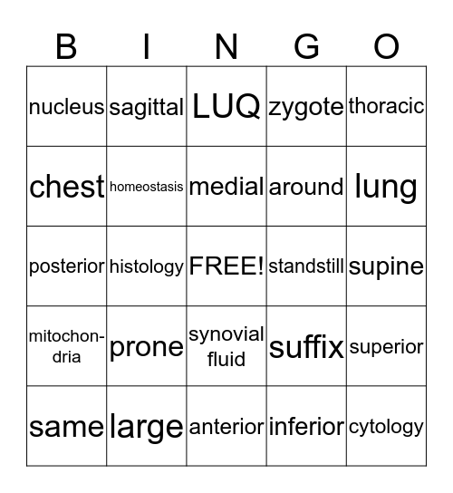 Body as a Whole Bingo Card