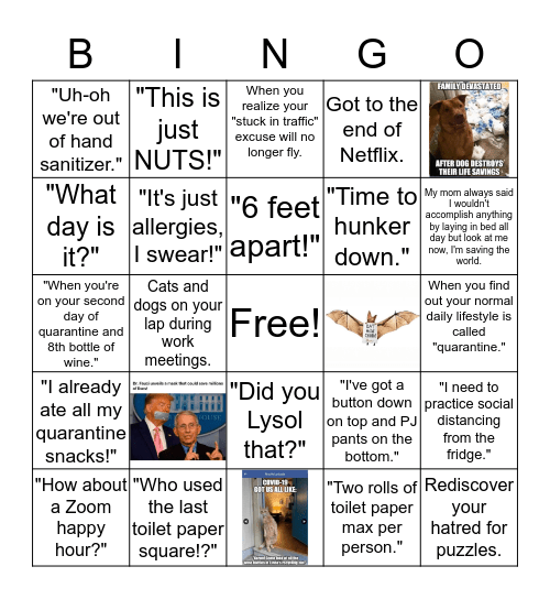 Quarantine Bingo Card