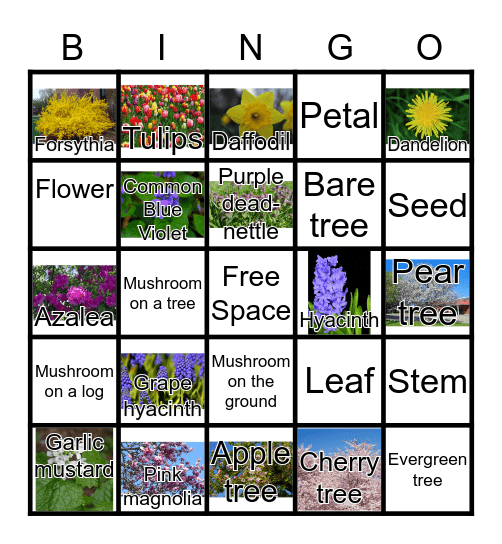 April Bingo Card