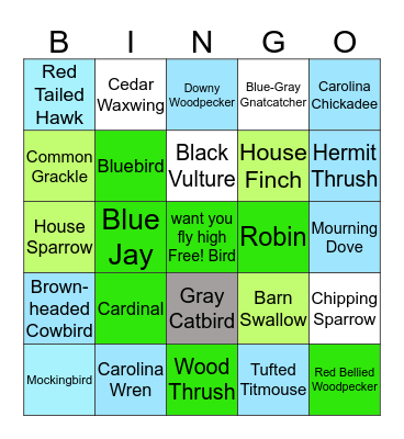 Bird Watching Bingo Card