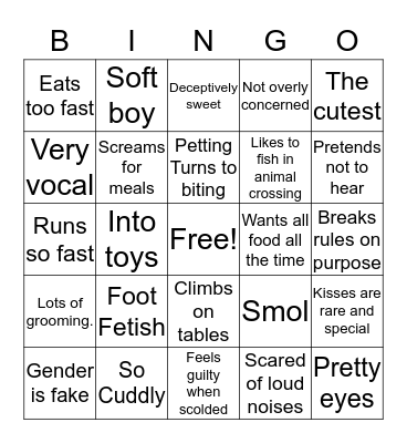 Are you Barbra? Bingo Card