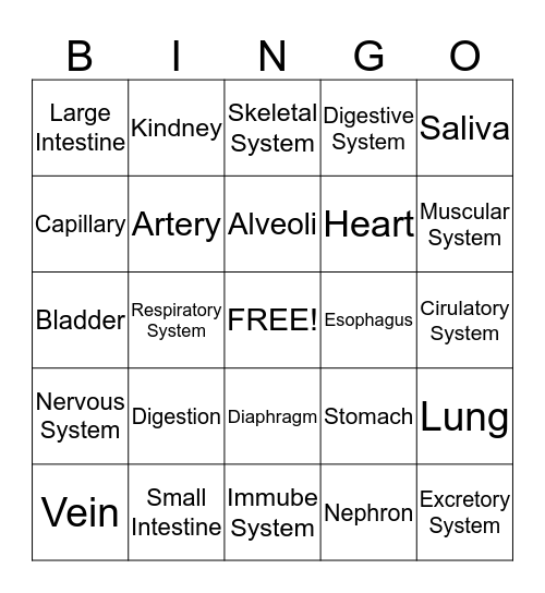 Organ Systems Vocabulary Bingo Card