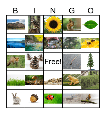 ILS Life / Social - Nature Bingo Card