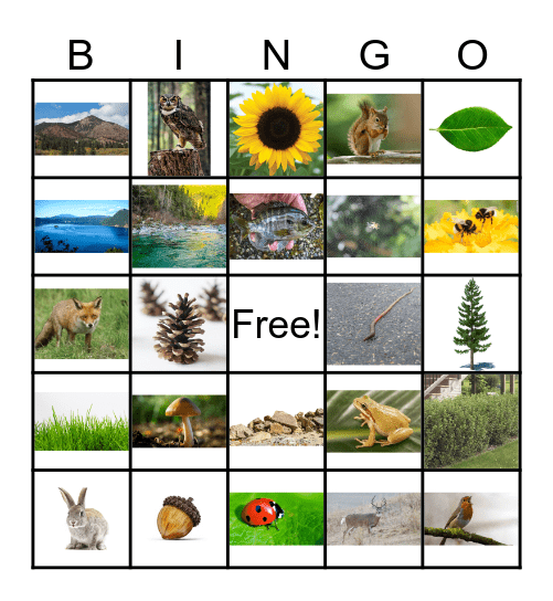 ILS Life / Social - Nature Bingo Card